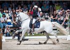 Pferd International 180
